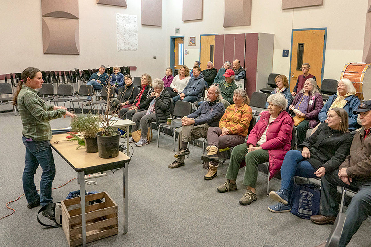 PHOTO: Making the cut at Port Townsend home show