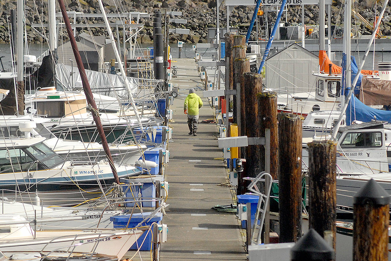 Port of Port Angeles to issue marina RFI despite Wayne family request