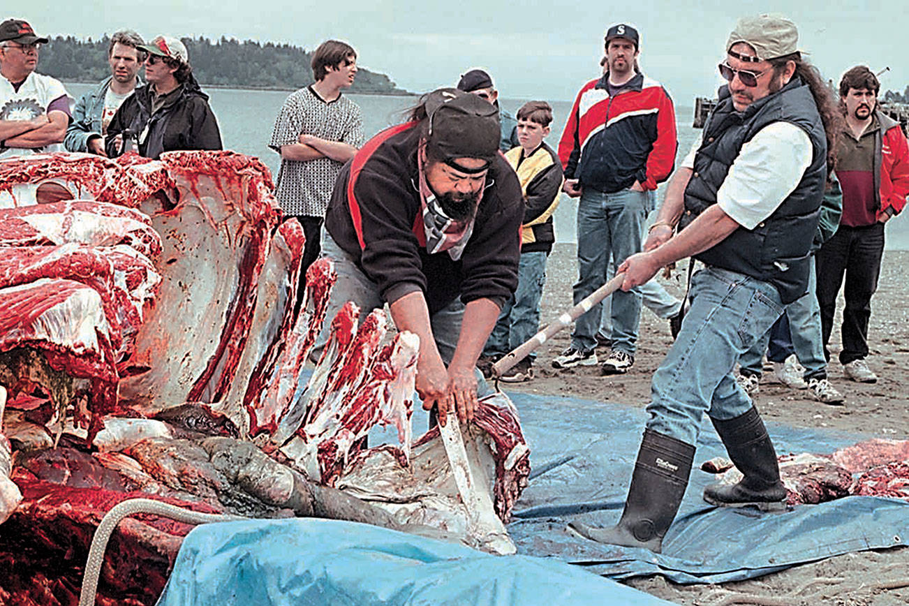 Hearing set on NOAA plan for Makah whale hunts