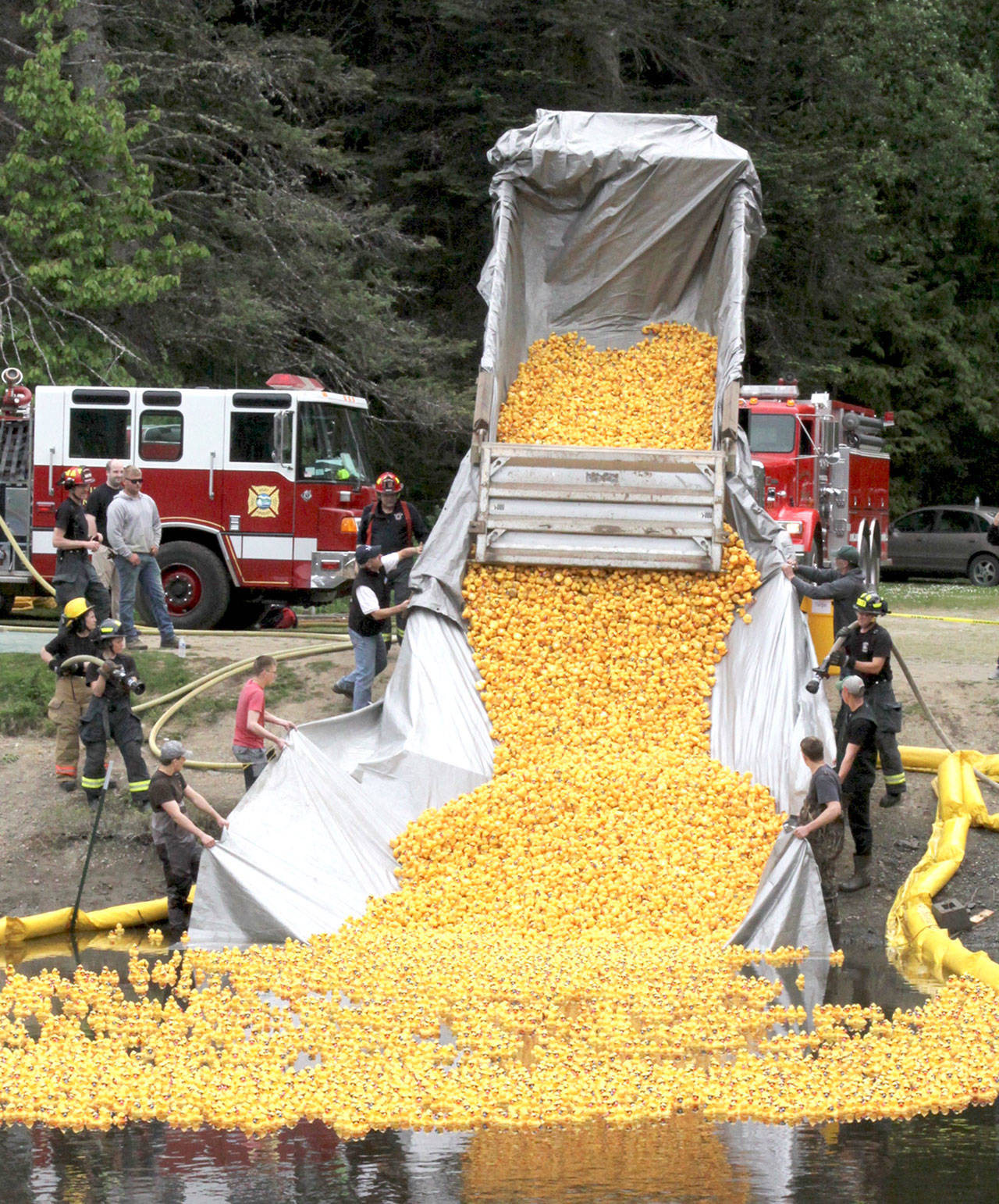 During a previous Duck Derby, more than 30,000 little yellow ducks were sent on their way. (Dave Logan/for Peninsula Daily News)