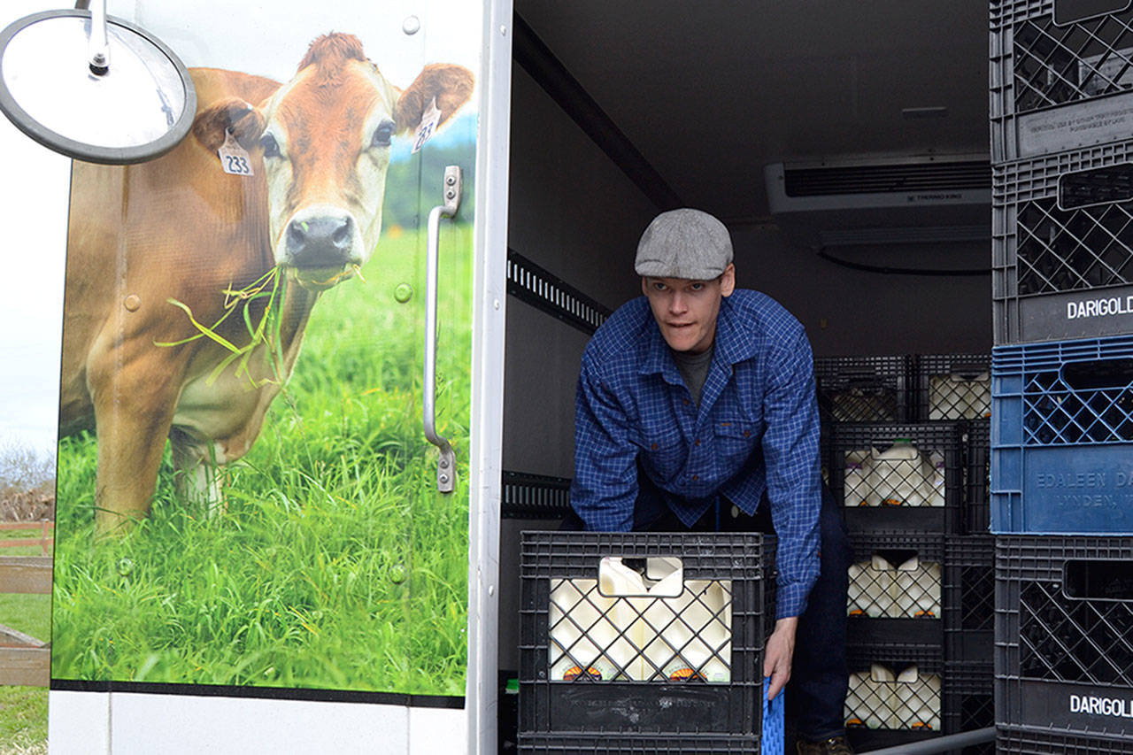 Store manager Ryan Murphy readies gallons of milk to dump after owners of the Dungeness Valley Creamery voluntarily recalled raw whole milk with an April 6 expiration date. (Matthew Nash/Olympic Peninsula News Group)