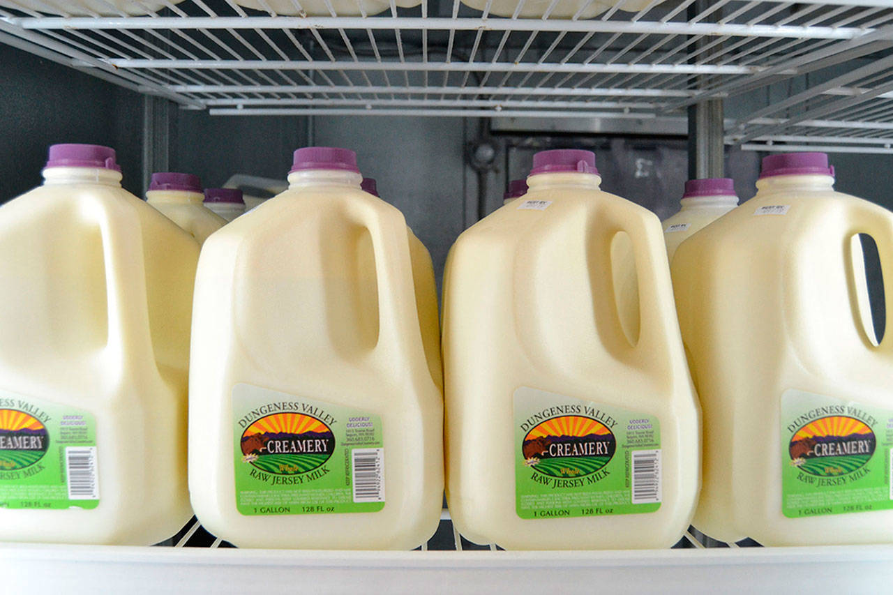 Officials with the state Department of Agriculture have given the OK to Dungeness Valley Creamery to sell its raw milk again. (Matthew Nash/Olympic Peninsula News Group)