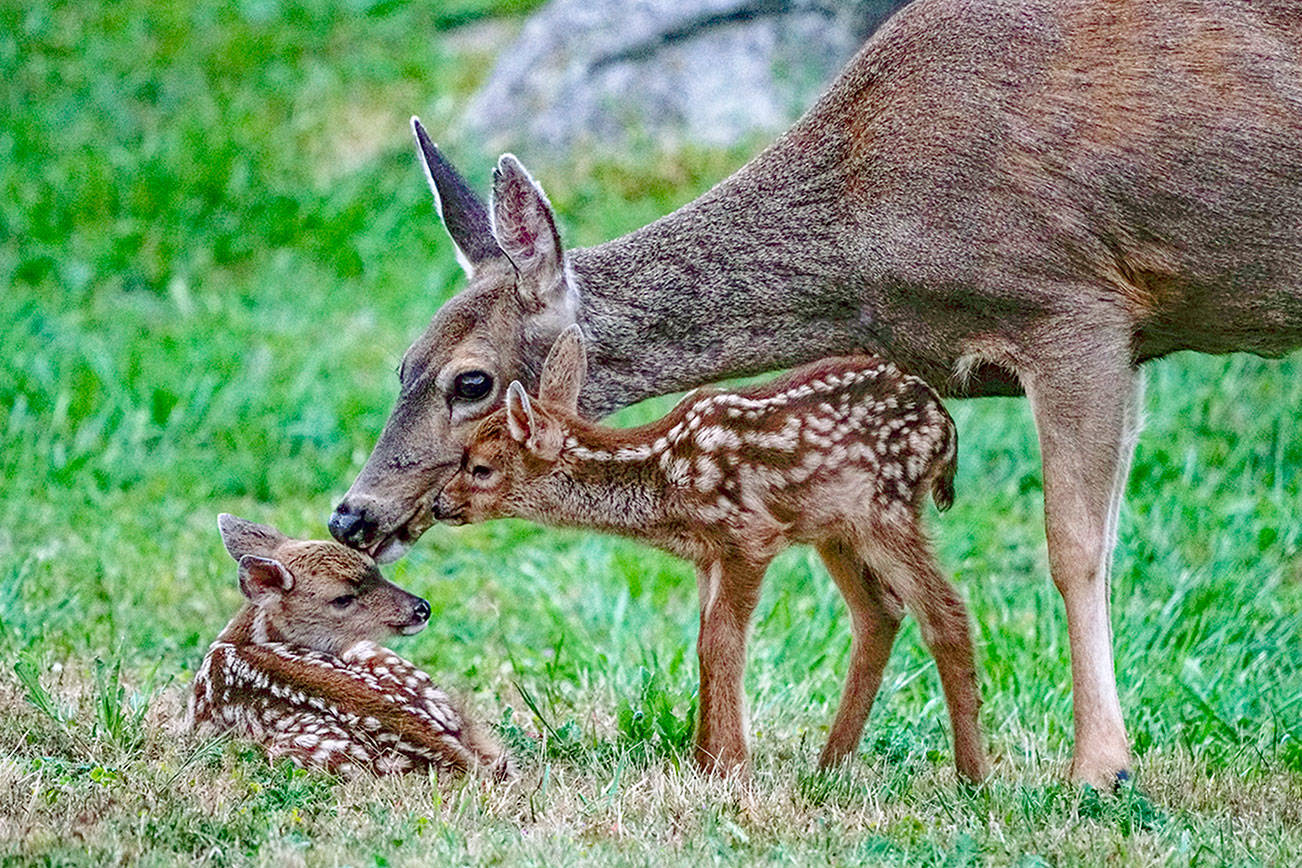 PHOTO: Congratulations to new mom in Port Townsend