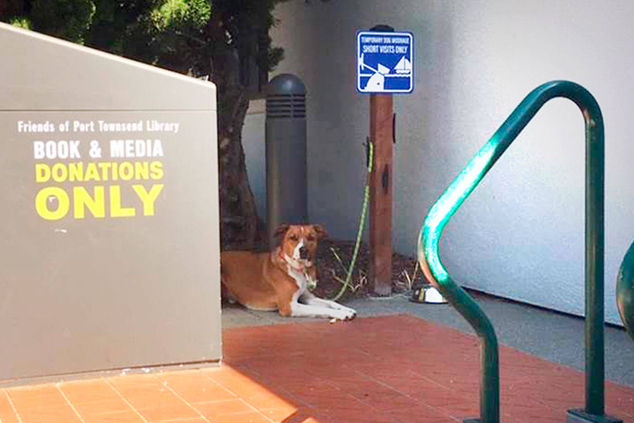 PHOTO: Port Townsend Public Library has new temporary dog moorage station