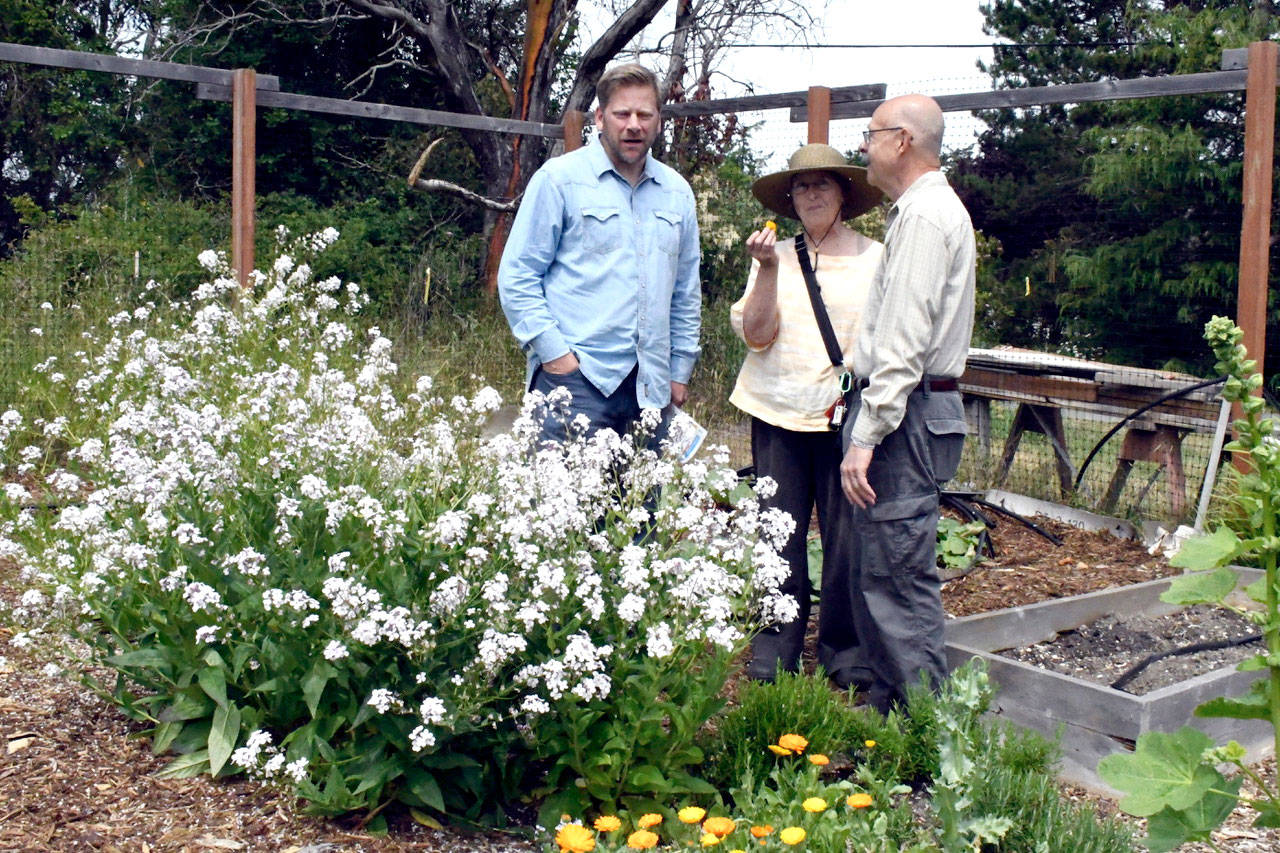 State Rep. Mike Chapman, left, visited the garden at the Quimper Grange on 1219 Corona St., on Wednesday as part of a tour of gardens that supply area food banks. He was joined by Kathy Ryan, president of Jefferson County Food Bank Gardens, and Francesco Tortorici of Olympic BioChar. (Jeannie McMacken/Peninsula Daily News)