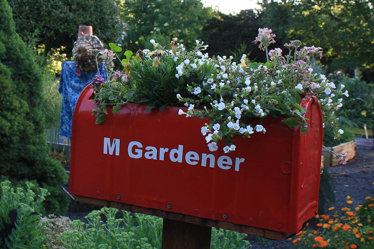 Pollinators welcomed to Woodcock Demonstration Garden. (WSU Clallam County Extension Master Gardeners)