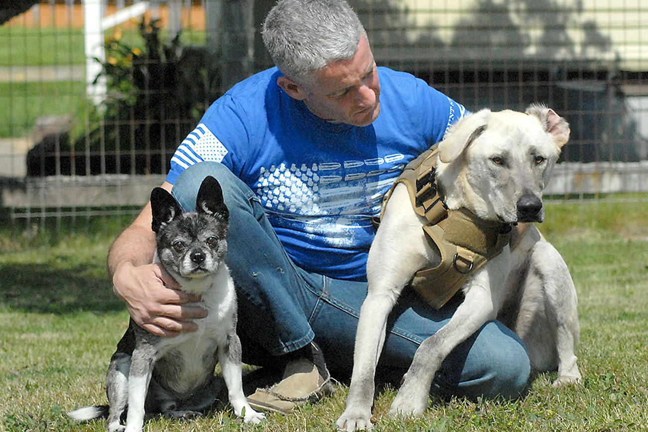 Lost dog travels far: Owner reunited with Gunny after nearly three months