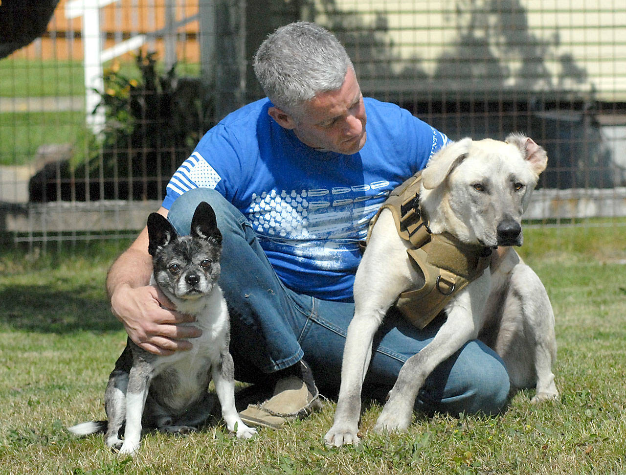 David Coon of Port Angeles, along with Tiger, left, gives attention to his dog Gunny, who was lost 80 days before being returned to its owners. (Keith Thorpe/Peninsula Daily News)