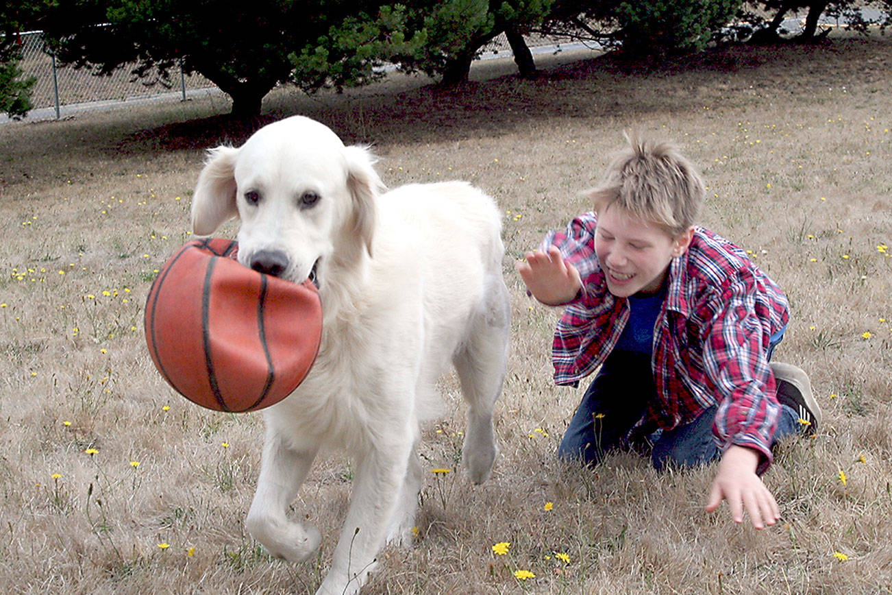 Ribbon-cutting for Mountain View Dog Park set for Friday