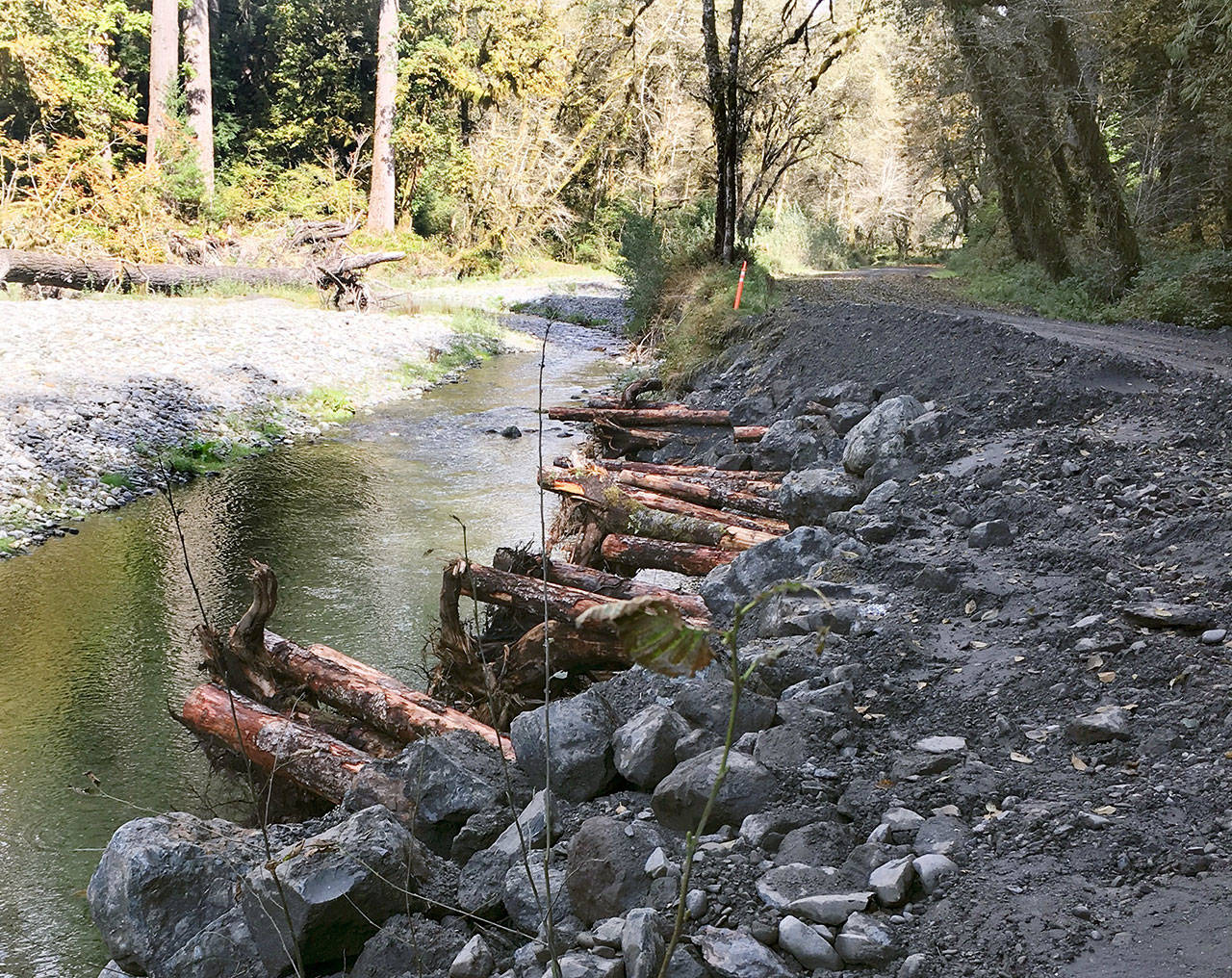 Graves Creek runs alongside Graves Creek Road in Olympic National Park in the Quinault Valley.