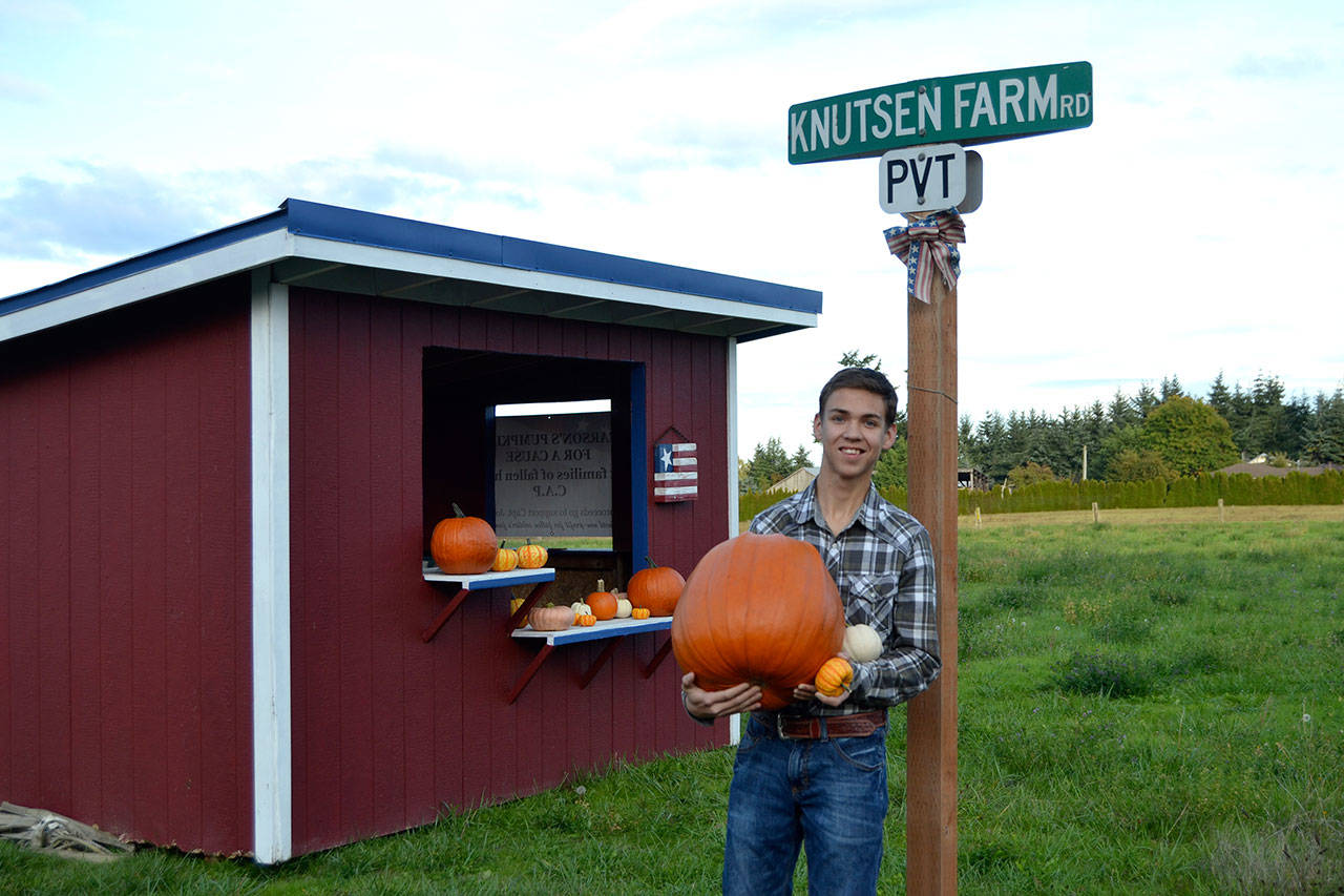 Come Saturday, Carson Holt will have sold “Pumpkins for a Cause” for seven years. He plans to donate his proceeds to the Civil Air Patrol and Captain Joseph House Foundation. Last year, he raised $1,900 for the two groups. Matthew Nash/Olympic Peninsula News Group