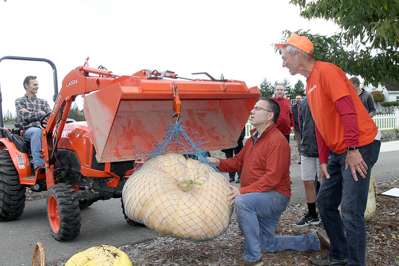 The ‘Great Pumpkin’ arrives