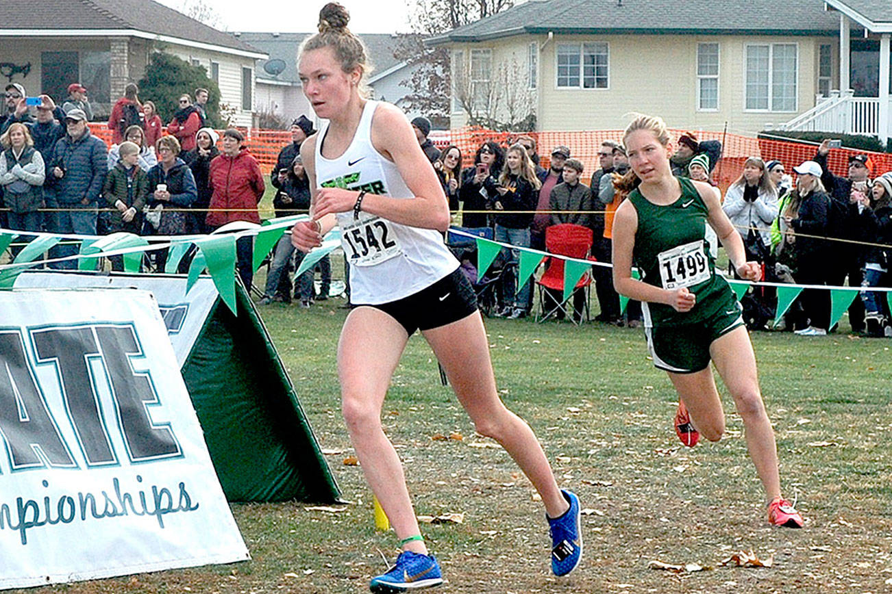 CROSS-COUNTRY: Three North Olympic Peninsula runners place at State