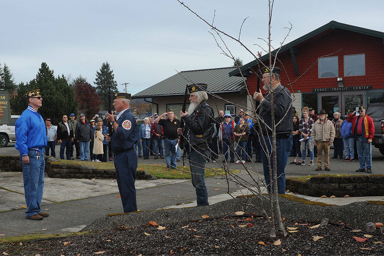 Forks honors veterans with annual ceremony