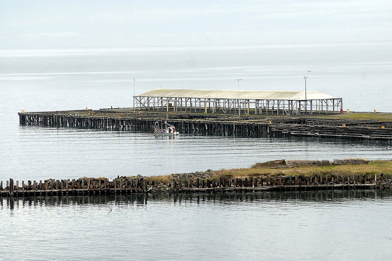 Port Angeles city manager outlines objections to Rayonier cleanup proposal