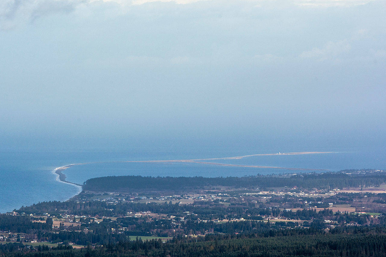 The Jamestown S’Klallam Tribe has proposed to re-establish an oyster farm at the Dungeness National Wildlife Refuge. A decision on county permits is expected before Christmas. (Jesse Major/Peninsula Daily News)