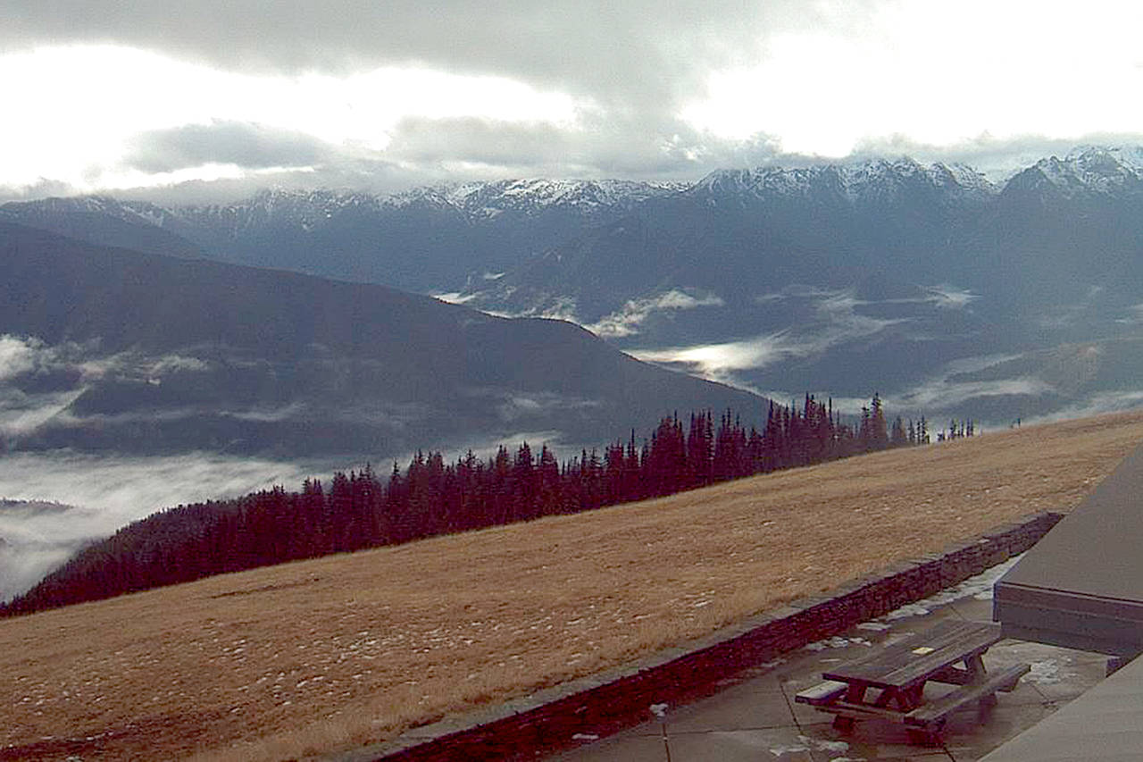 Olympic National Park A dearth of snow can be seen in this image captured Thursday by the Hurricane Ridge webcam. The Ridge needs at least 36 inches of snow to begin winter sports operations.