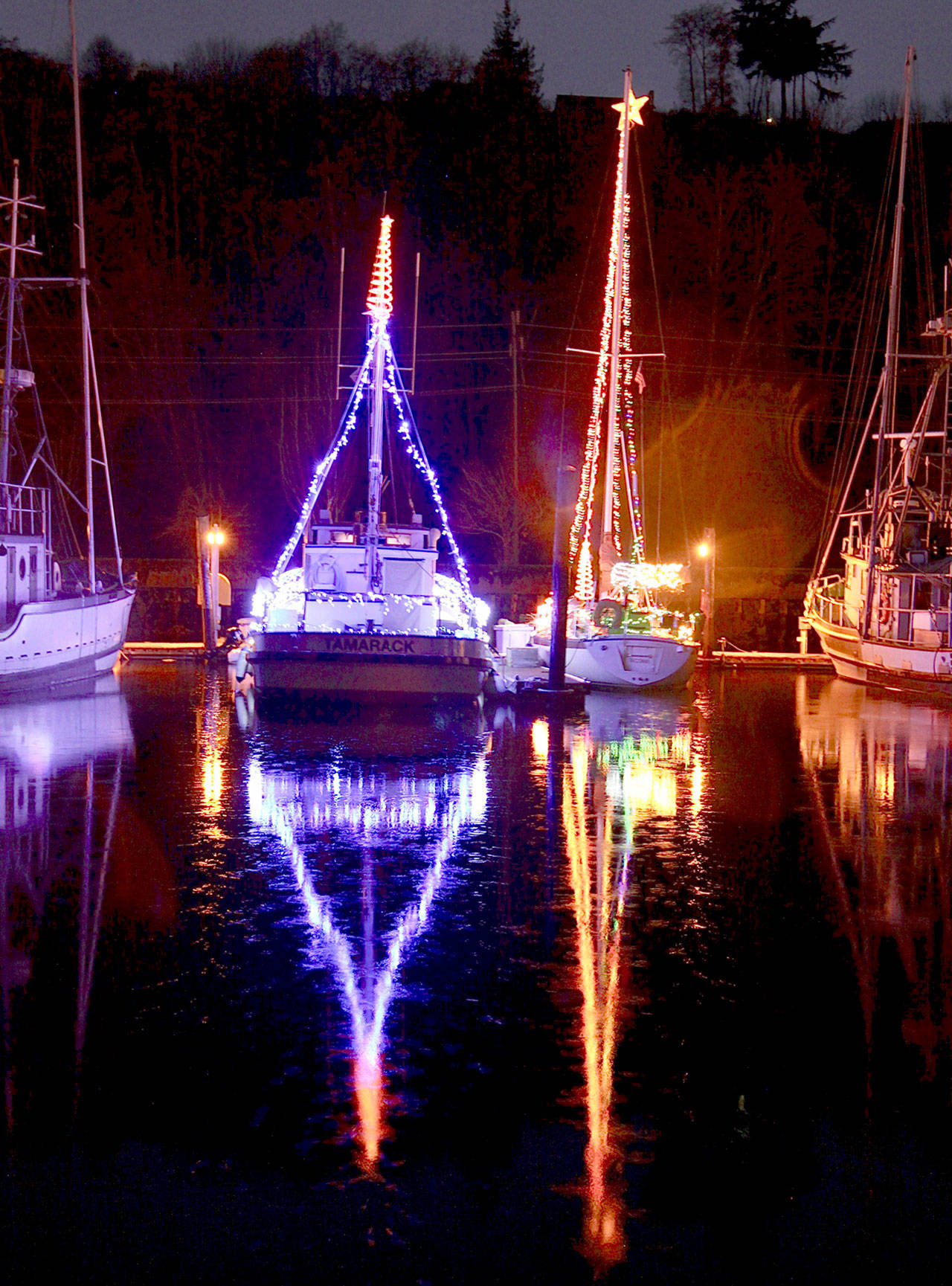 Port Angeles Boat Haven lights make merry