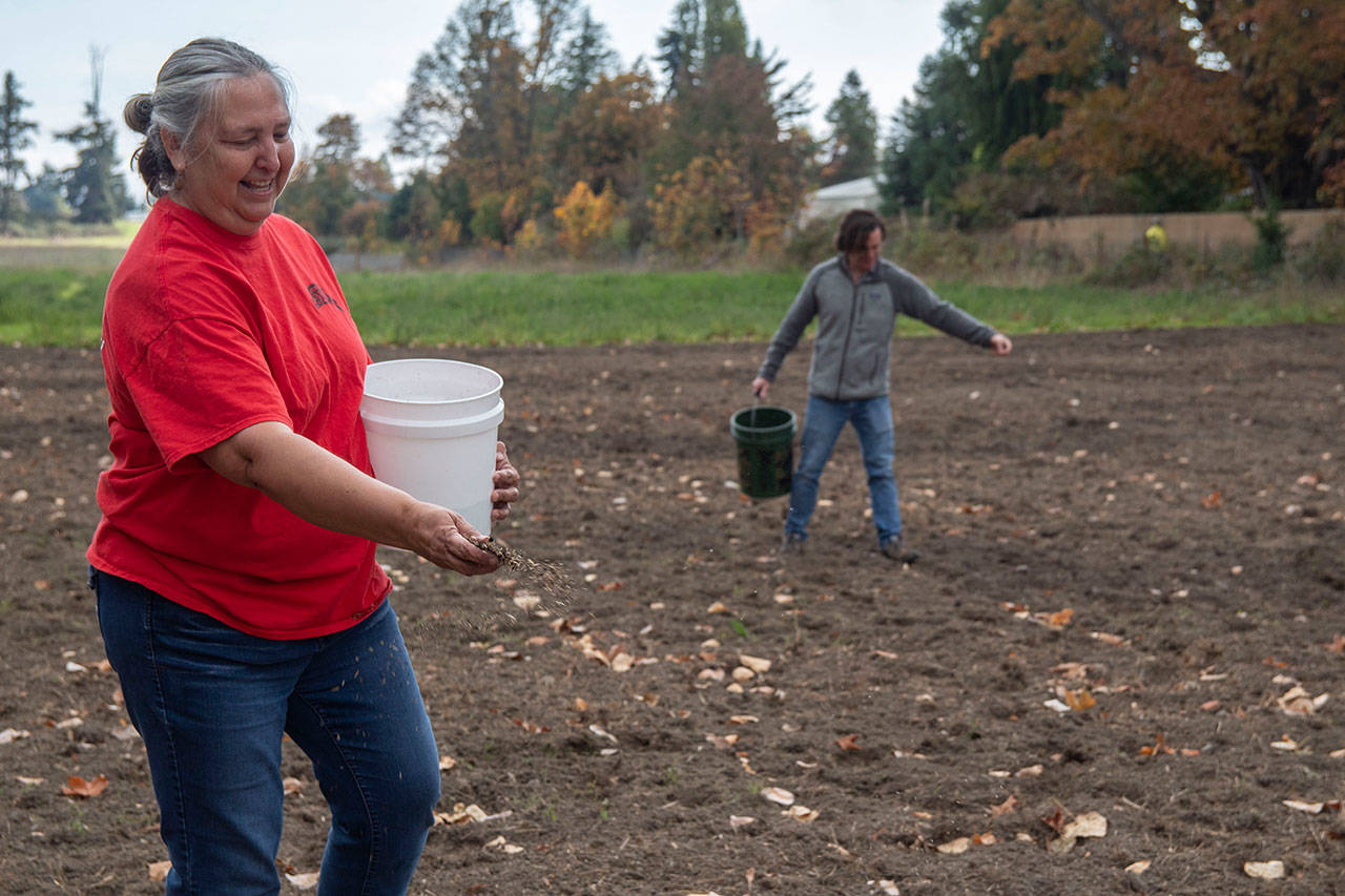 Traditional Foods Project manager Lisa Barrell and volunteer Brock Walker seed the Jamestown S’Klallam Tribe’s new prairie with wildflowers behind the Audubon Dungeness River Center in Sequim. (Tiffany Royal)