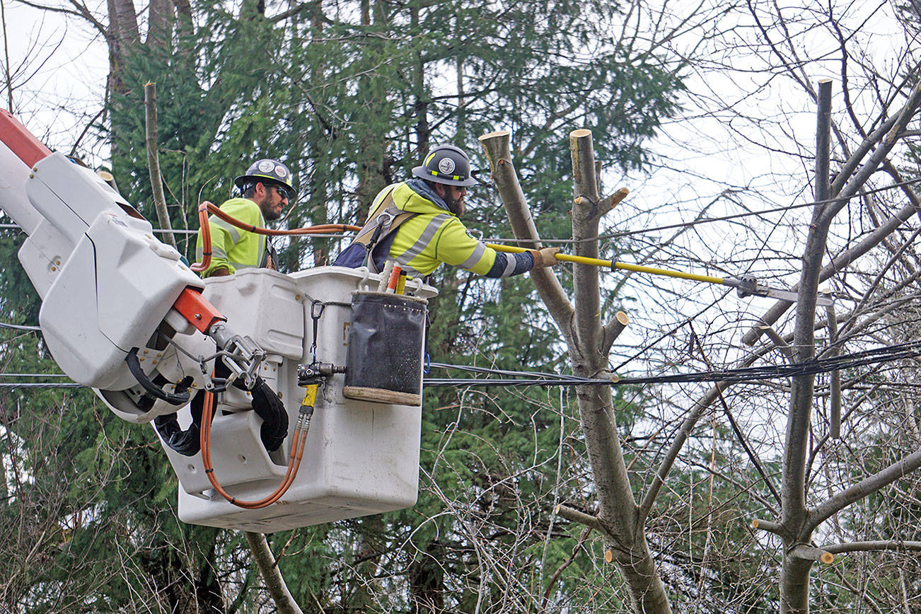 Winds, snow and cold: Peninsula to be shivering this week