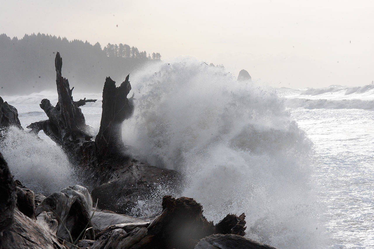 (Lonnie Archibald/for Peninsula Daily News)