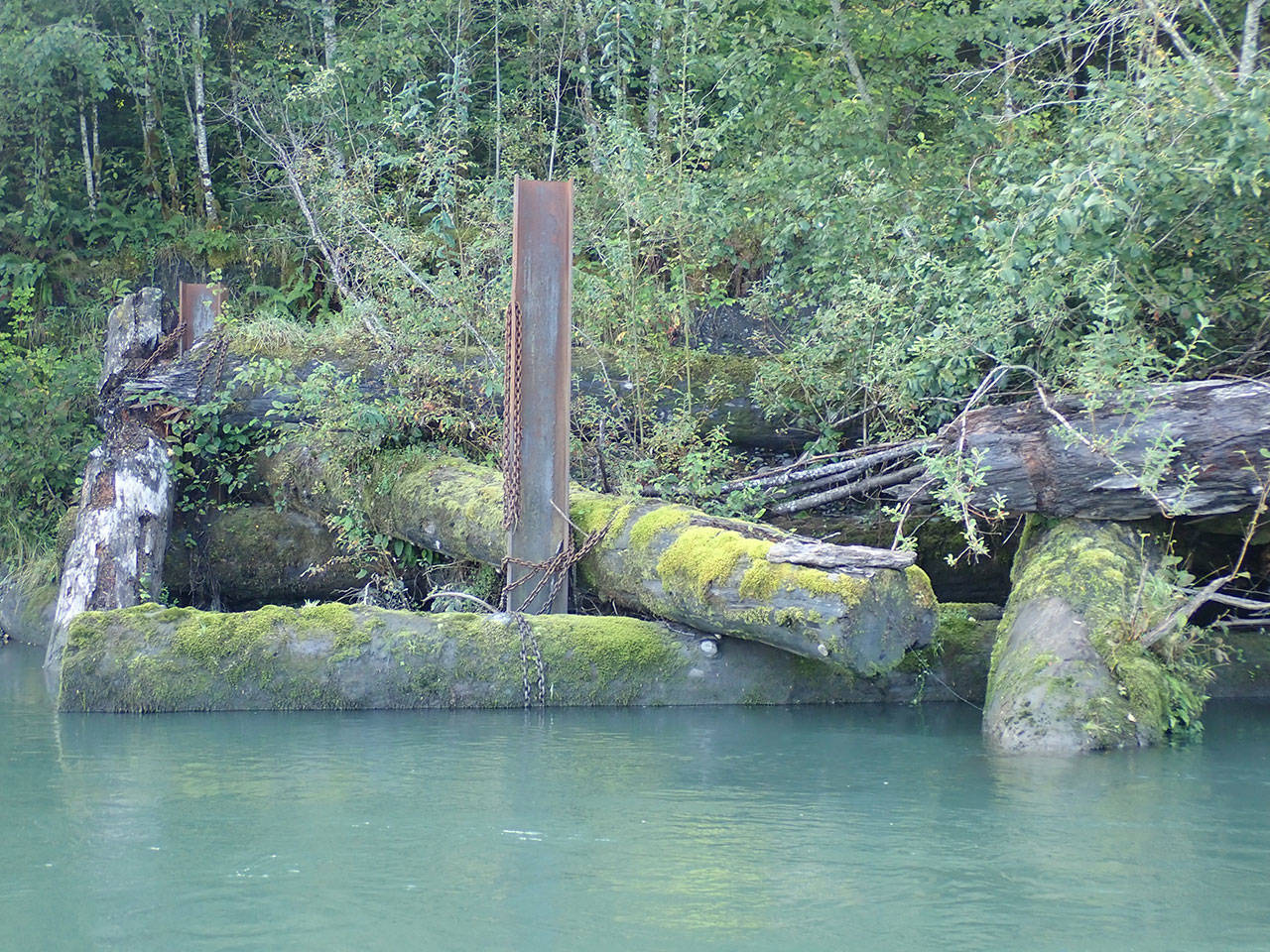 A man-made log jam in the Hoh River is seen here falling apart 15 years after its creation. (Pat Neal/for Peninsula Daily News)