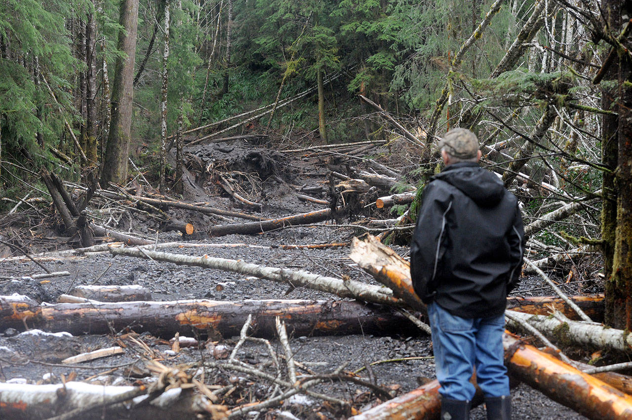 Richard Mossman of Beaver on Tuesday looks over the slide that took out the water system used by seven area families. (Lonnie Archibald/for Peninsula Daily News)