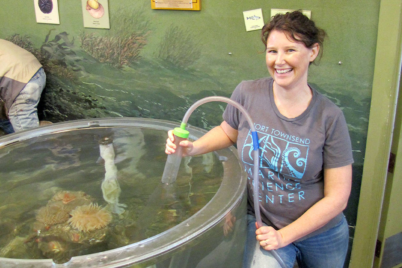 Online aquarium tour shows off new exhibits