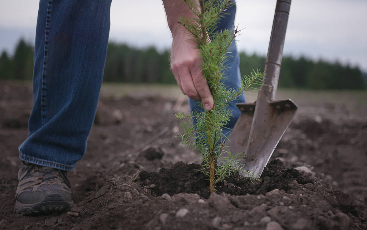 While just 37 percent of Washington forest is privately owned land, it accounts for a full 67 percent of wood harvested in the state each year!