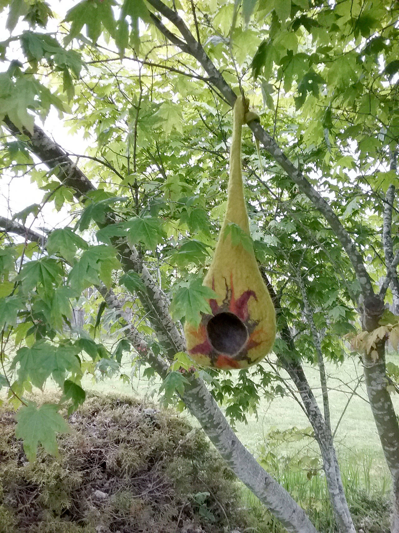 Hand-felted birdhouse by Mary Sue French is one of a series of three that will be installed in Webster’s Woods.