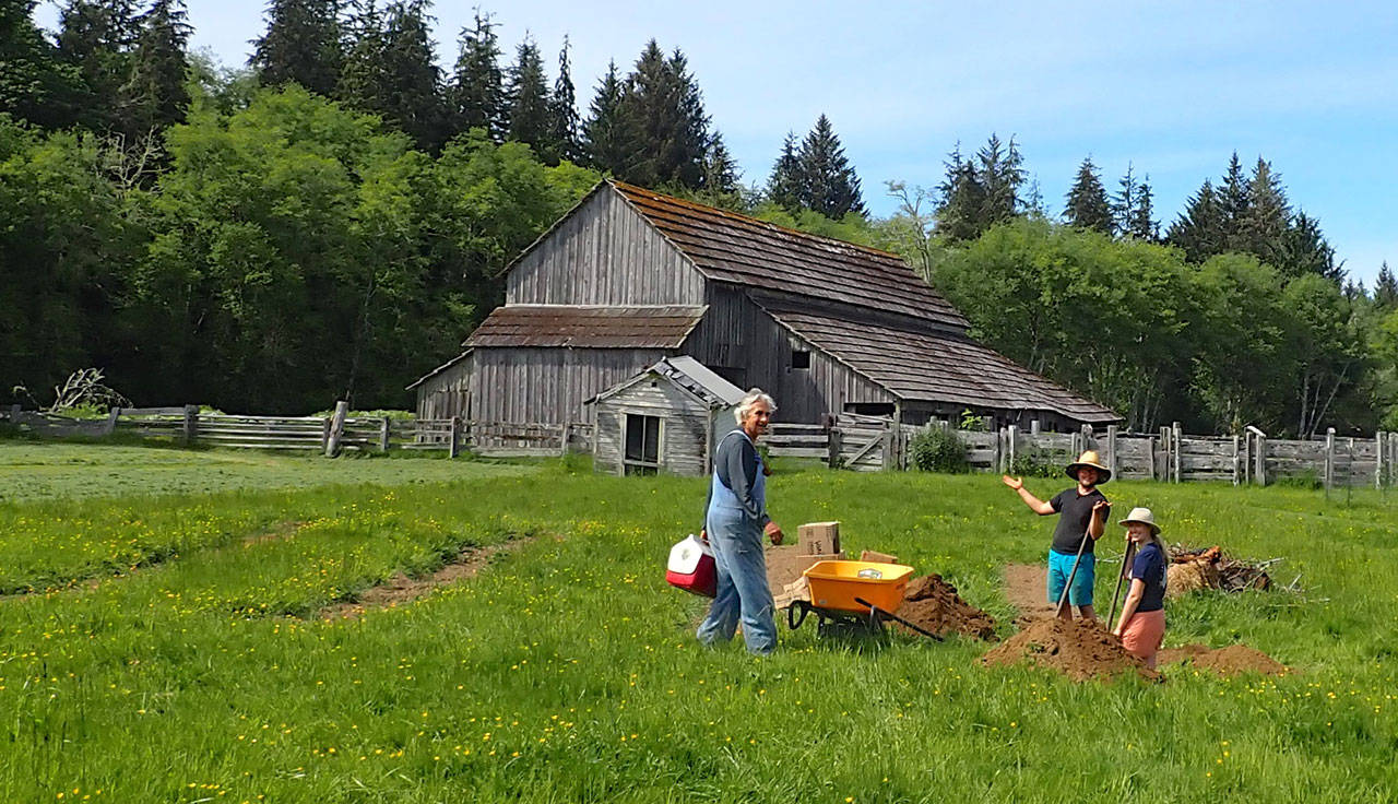 Volunteers enjoy the work at the Cowan Heritage site in Sekiu. (Photo courtesy of Nancy Messmer)