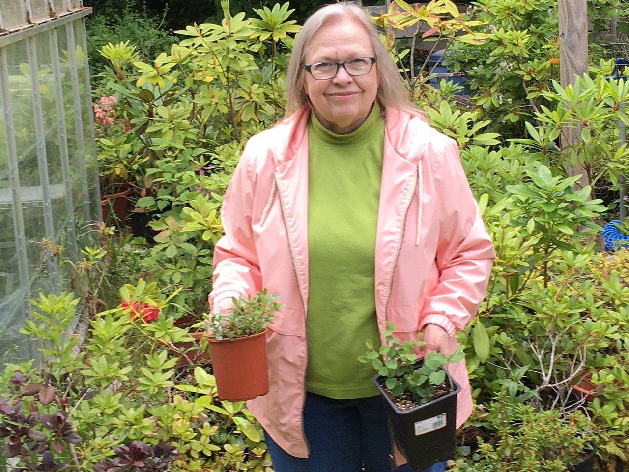 Rosalie Preble will explain the basics of softwood cutting propagation in a Zoom presentation Thursday, July 23, 2020.