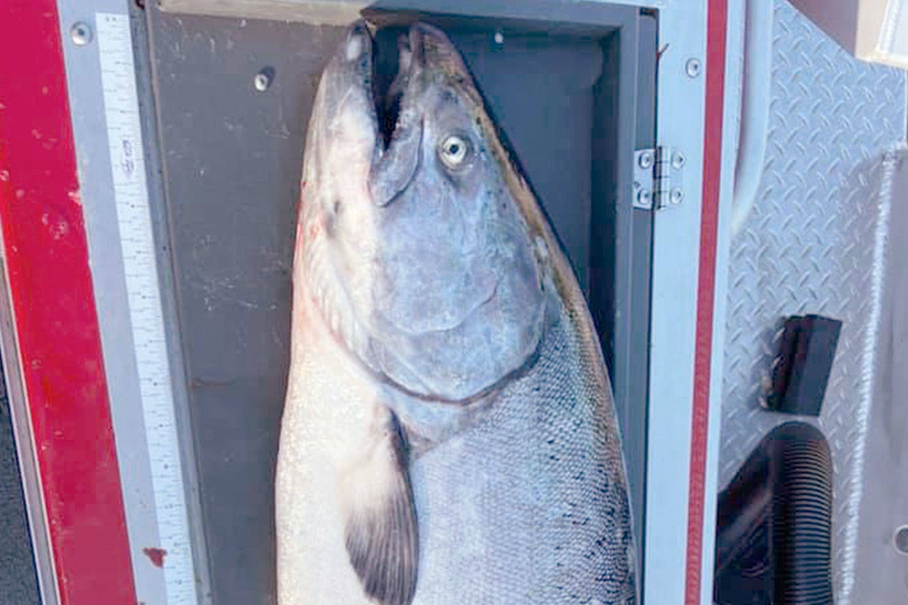 OUTDOORS Marine Area 9 joins the salmon season party Peninsula Daily
