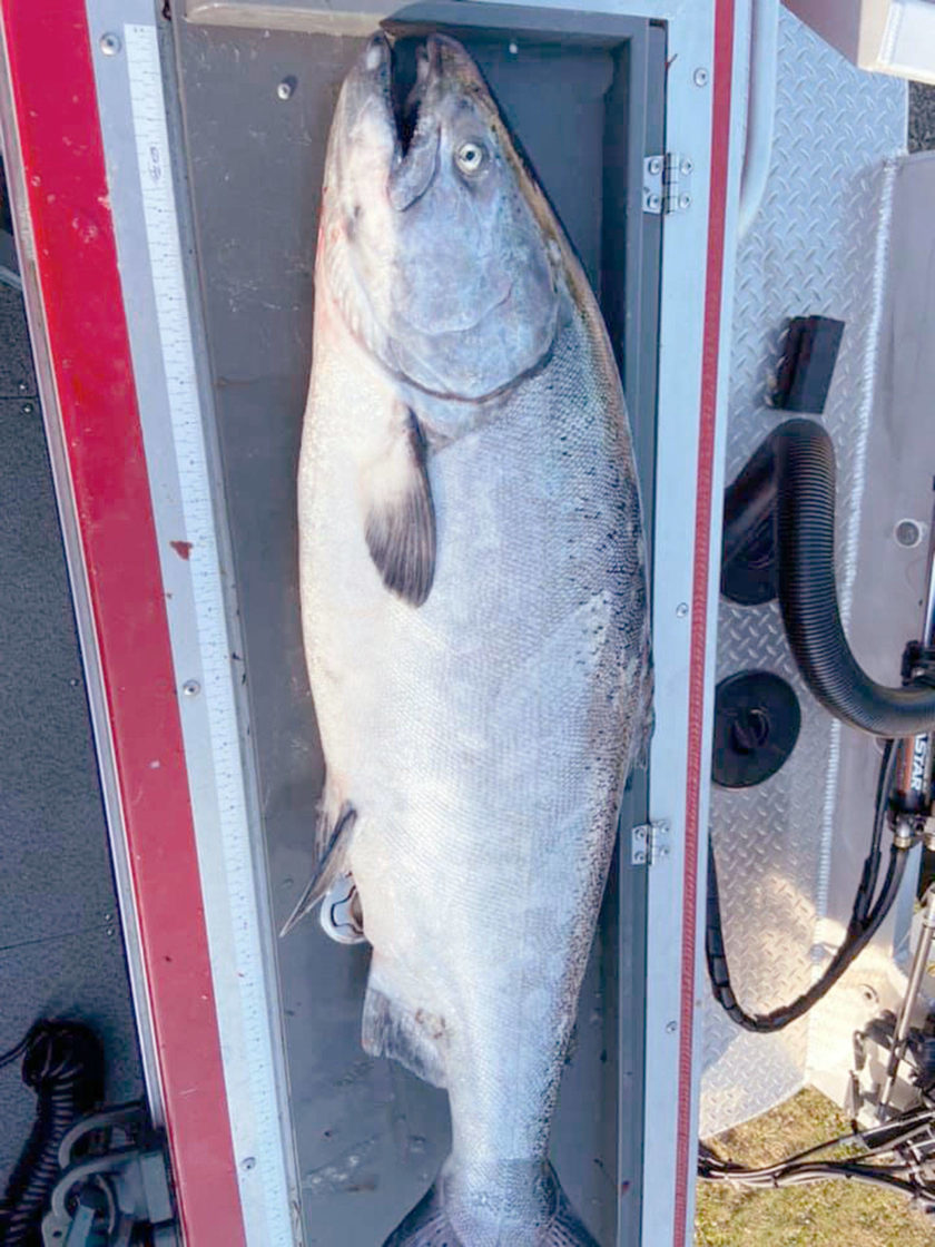 OUTDOORS Marine Area 9 joins the salmon season party Peninsula Daily