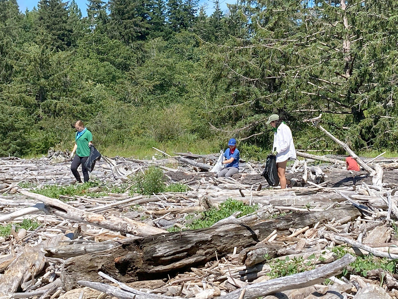 From left, Eugenia Frank, Viola Frank, Ava Vaughan and Ben Tyler search for marine trash in the driftwood at the mouth of Tarboo Bay. (Jude Rubin/Northwest Watershed Institute)