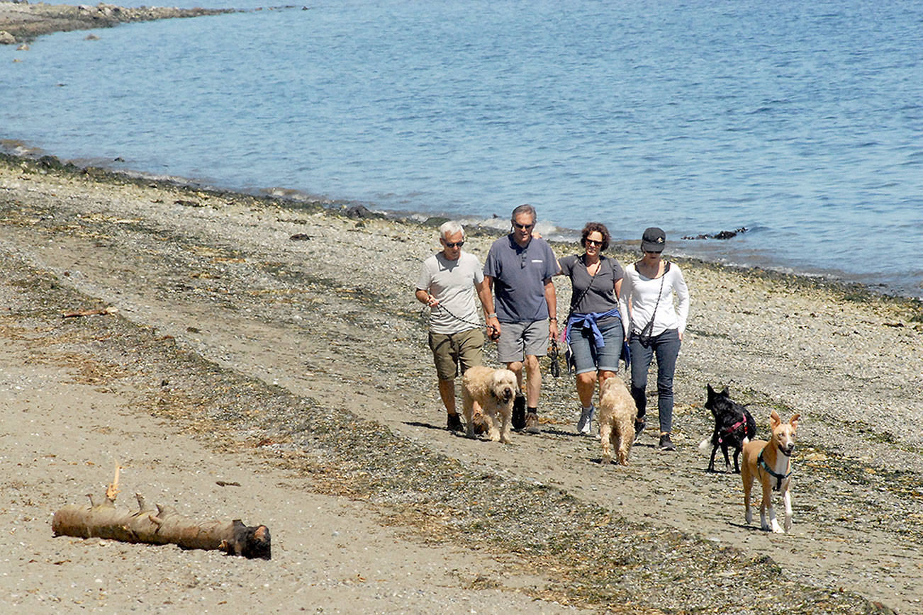 Beach walk