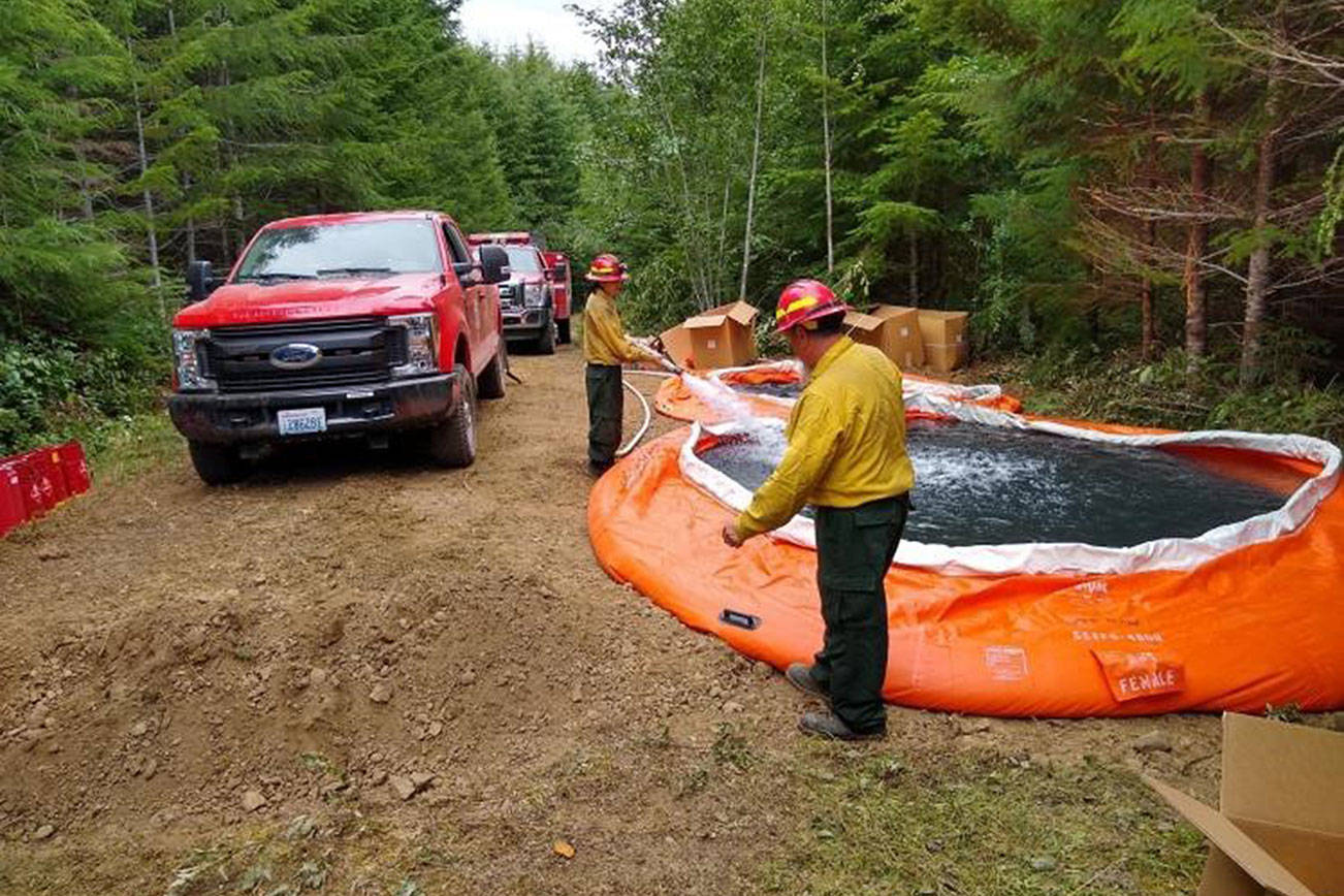 Olympic National Park fire held at 84 acres