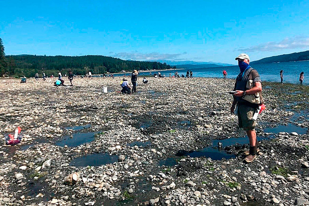 OUTDOORS: Oysters to close on three Hood Canal beaches