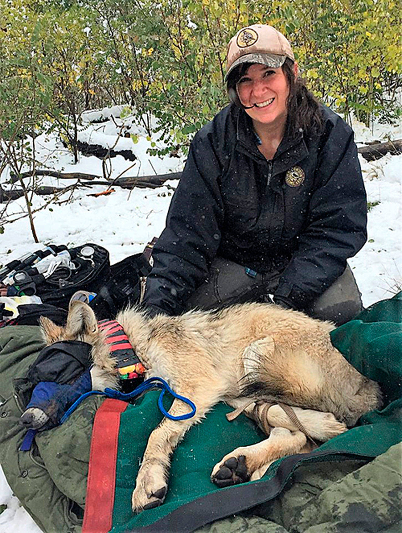 Julia Smith, the statewide wolf coordinator for the Washington Department of Fish and Wildlife, will lead a free online presentation about wolf biology, conservation and management Sept. 16. (Submitted photo)