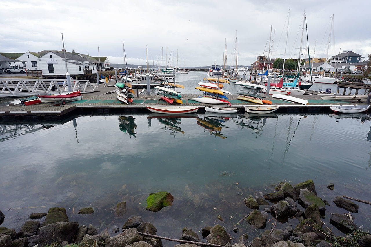 The Jamestown S’Klallam Tribe is proposing a 20-foot by 80-foot nursery for raising young oysters, also known as a floating upweller system, or FLUPSY, in this northern-most corner of the Point Hudson Marina in Port Townsend. (Nicholas Johnson/Peninsula Daily News)