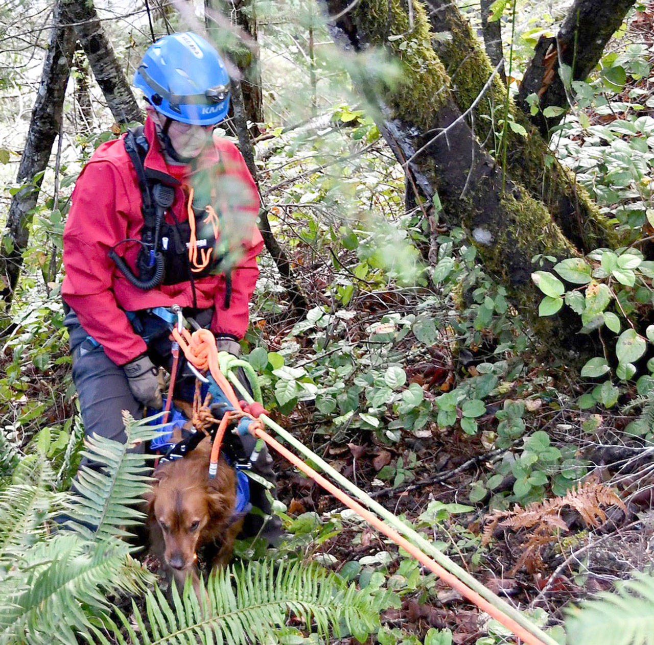 Rescuers pulled a woman and her dog from a cliff on Lower Dam Road.