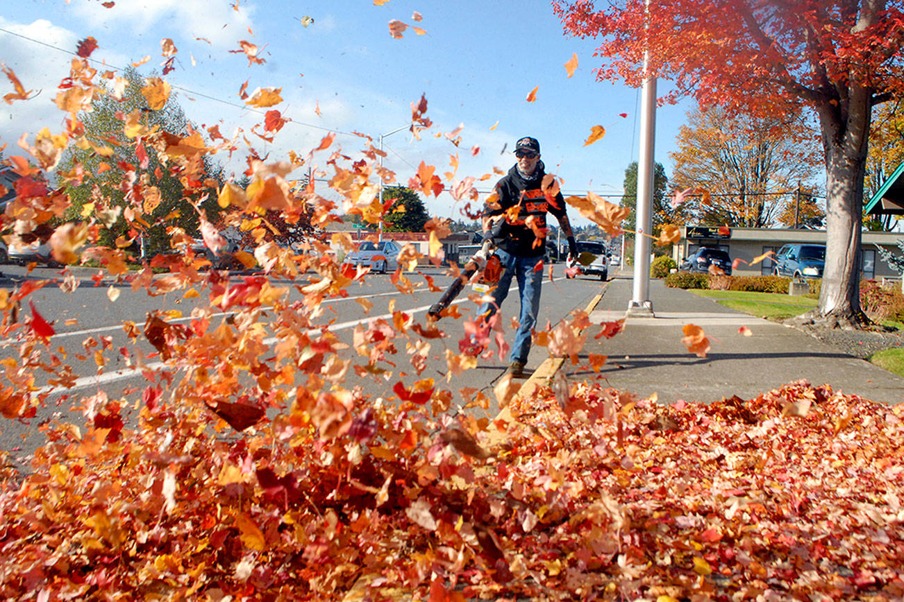 Keith Thorpe/Peninsula Daily NewsBill Witherspoon of Port Angeles-based Olympic Lawn Care moves leaves with a leaf blower in the 600 block of East Eighth Street in Port Angeles on Thursday. As the days get shorter and temperatures begin to cool, foliage is transitioning from the greens of spring and summer to the reds, yellows and golds of autumn across much of the North Olympic Peninsula.