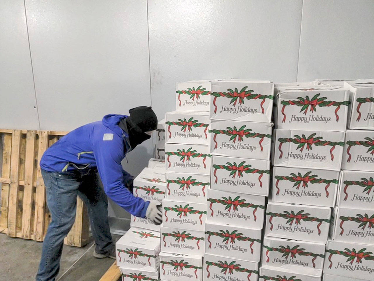 Jefferson County Food Banks Association volunteer Chance Worton stacks boxes of ham inside the refrigeration unit at the Tri-Area Food Bank on Thursday, Dec. 10, 2020. Harbor Foodservice of Kent delivered 533 discounted hams to be distributed to families of all four food banks in Jefferson County. (Zach Jablonski/Peninsula Daily News)