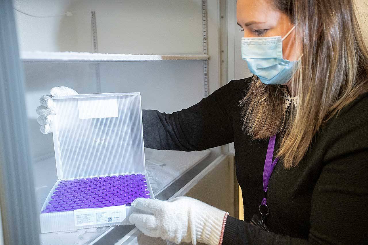 University of Washington Medical Center Pharmacy Manager Christine Meyer puts a tray of doses of the Pfizer-BioNTech COVID-19 vaccine into the deep freeze after the vaccine arrived at the University of Washington Medical Center’s Montlake campus on Monday in Seattle. (Mike Siegel/The Seattle Times via The Associated Press)