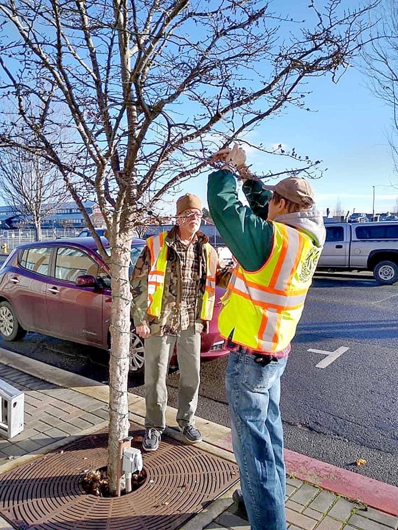 Olympic Kiwanis members Frank Bruni and Tim Crowley work to fix the holiday lights in downtown Port Angeles. (Photo courtesy of Olympic Kiwanis Club)