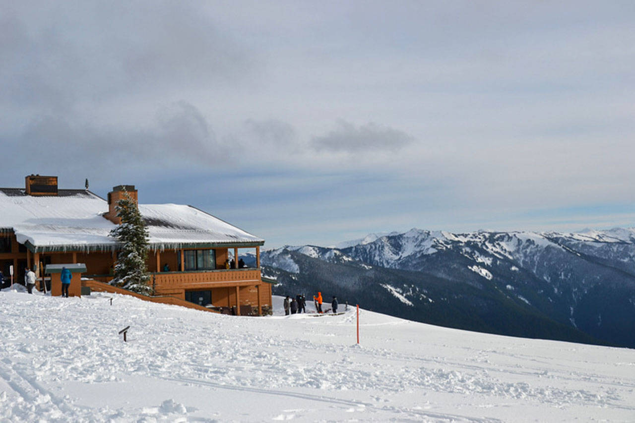 The 2020 winter season operations for Hurricane Ridge began Nov. 27 with glistening treetops and a thick carpet of snow for visitors. (Laura Foster/Peninsula Daily News)