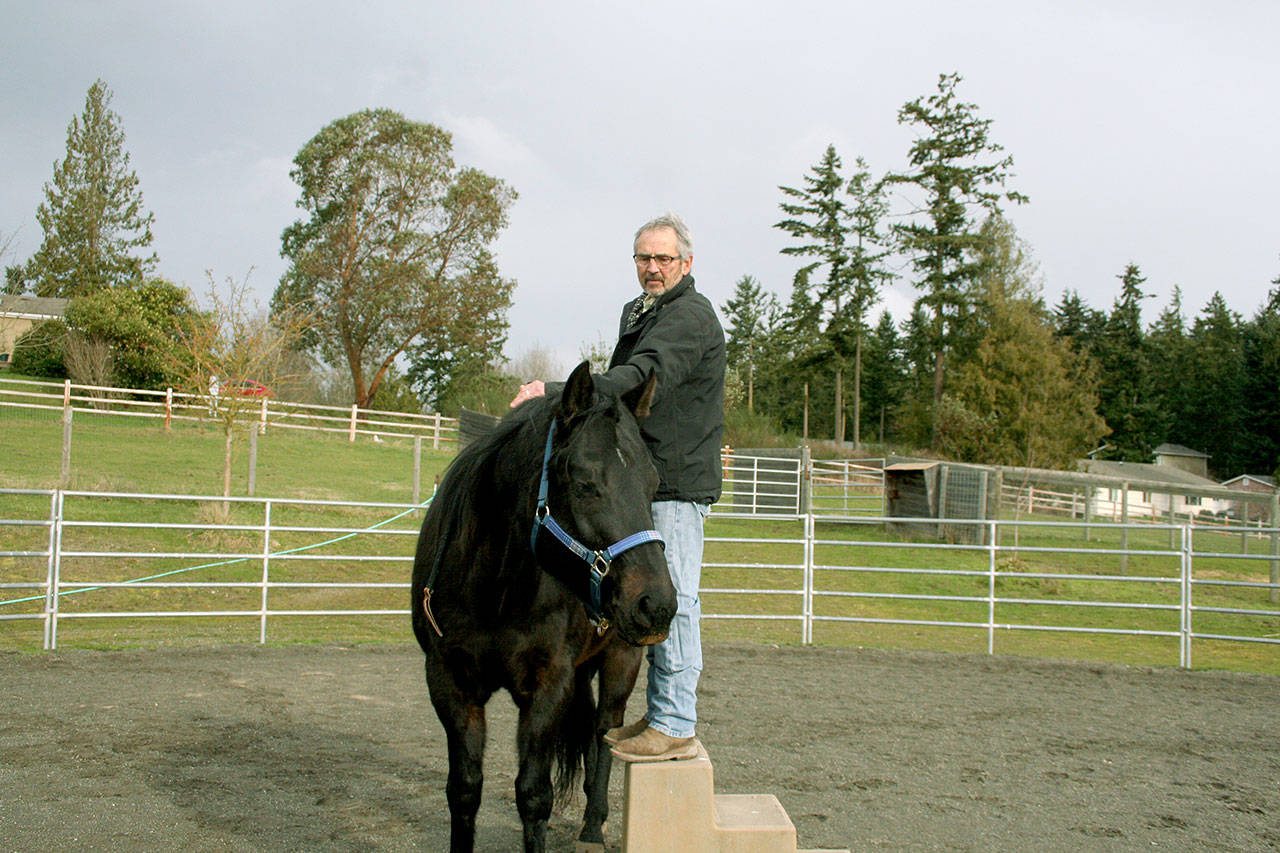 Ken Seifer prepares to climb into the saddle of Bob, a horse who was traumatized by a farrier. After working with Seifer, Bob can now stand quietly and calmly while his hooves are tended. (Karen Griffiths/for Peninsula Daily News)