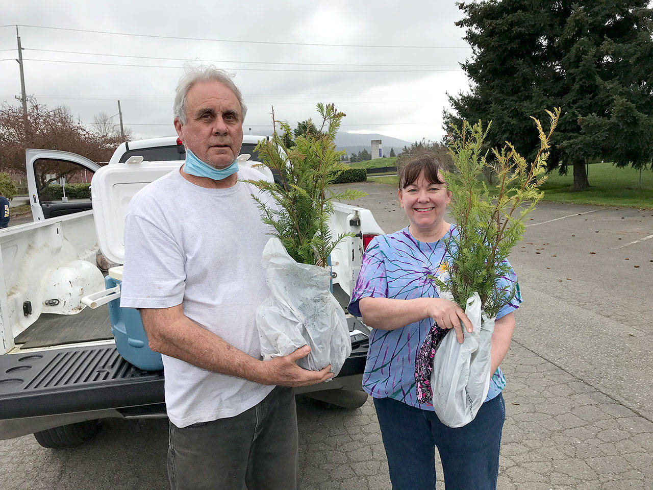 Sequim residents Susan and Ron Geis pick up redwood seedlings at the Sequim Elks lodge. The nonprofit PropagationNation has been distributing free sequoia and redwood seedlings across the state. The project aims to combat climate change and increase the diversity of Washington forests, according to a press release.