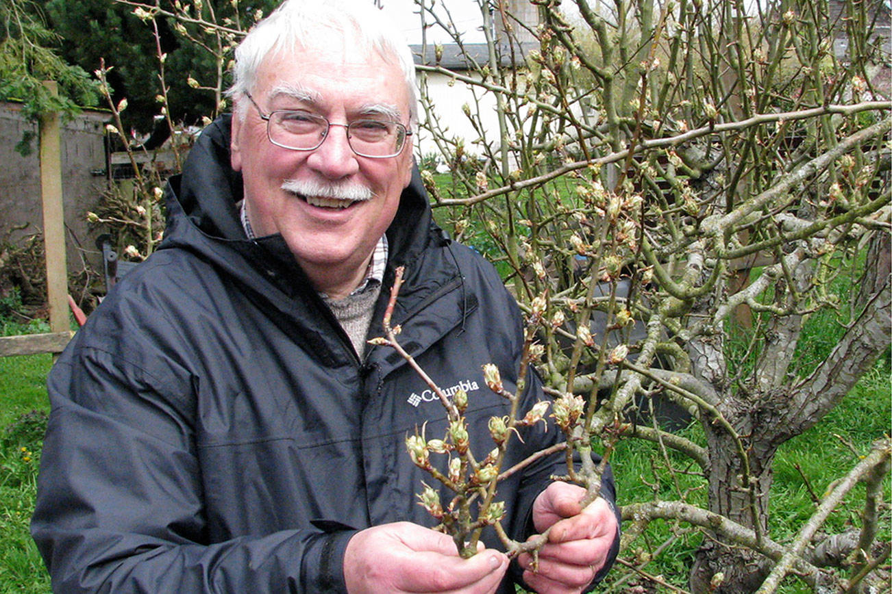 Bob Crain will discuss fungicide use at noon Thursday