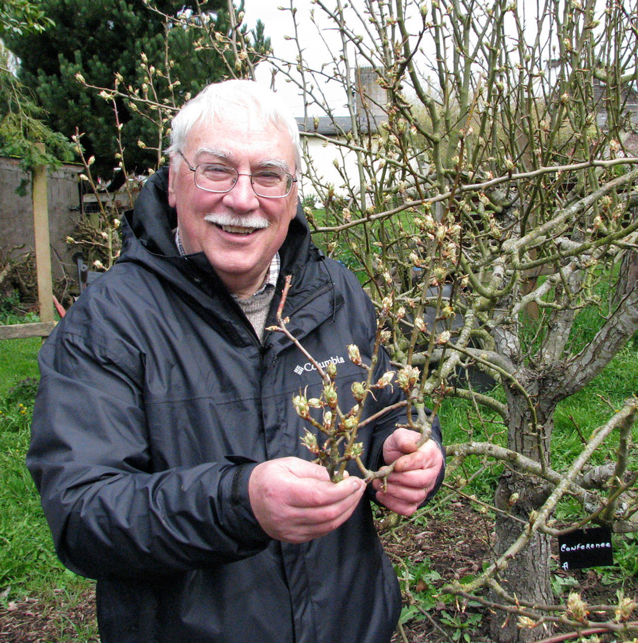 Bob Crain will discuss fungicide use at noon Thursday